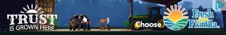 Creative Screenshot 1