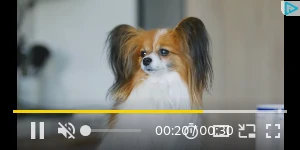 Creative Screenshot 3