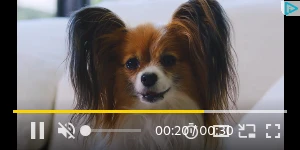 Creative Screenshot 3