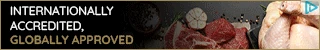 Creative Screenshot 2