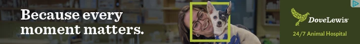 Creative Screenshot 1