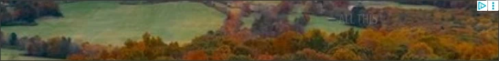Creative Screenshot 3