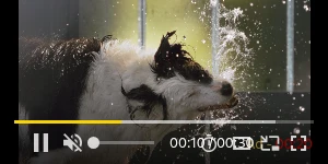 Creative Screenshot 2