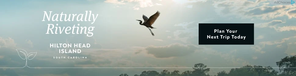 Creative Screenshot 1