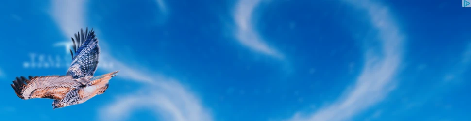 Creative Screenshot 1