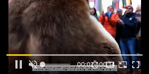 Creative Screenshot 1