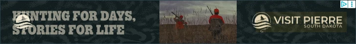 Creative Screenshot 1