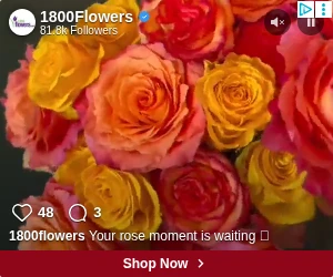 Creative Screenshot 3