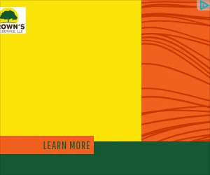 Creative Screenshot 1