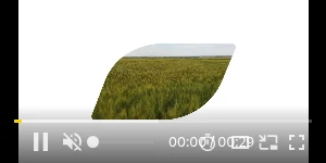 Creative Screenshot 1