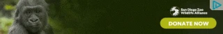 Creative Screenshot 3