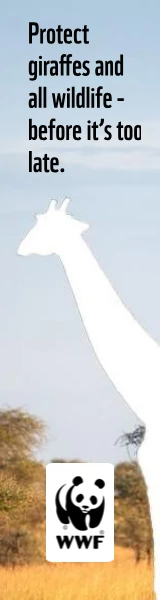 Creative Screenshot 2