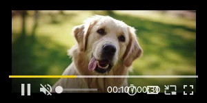 Creative Screenshot 2
