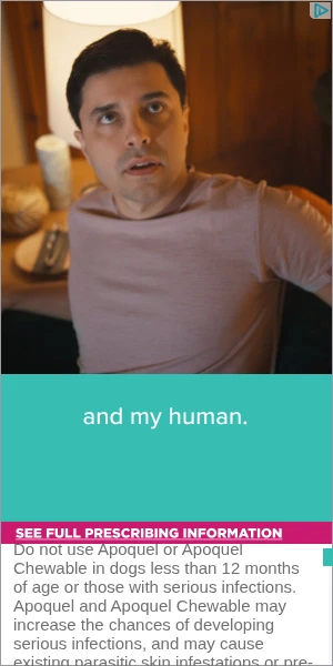 Creative Screenshot 3