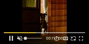 Creative Screenshot 2