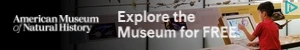 Creative Screenshot 1