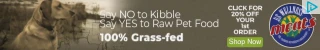Creative Screenshot 1