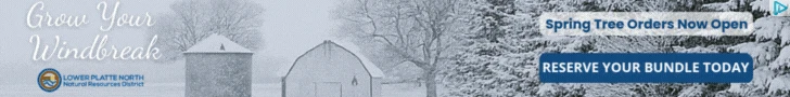 Creative Screenshot 1