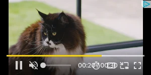 Creative Screenshot 3