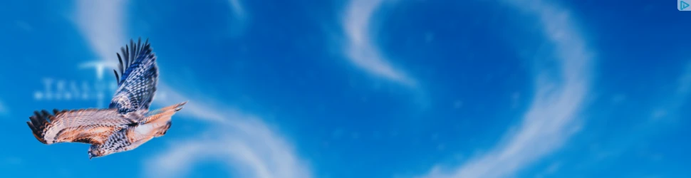 Creative Screenshot 1