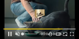 Creative Screenshot 3