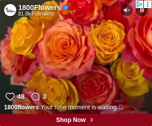 Creative Screenshot 3
