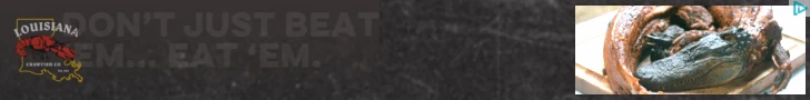 Creative Screenshot 3