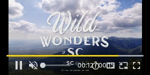 Creative Screenshot 3