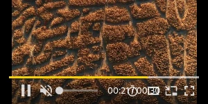 Creative Screenshot 3