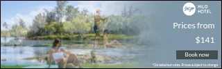 Creative Screenshot 2