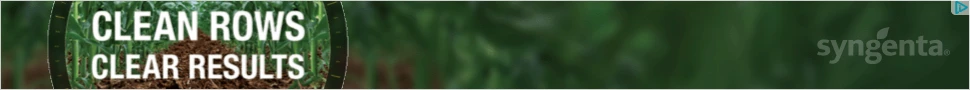 Creative Screenshot 1