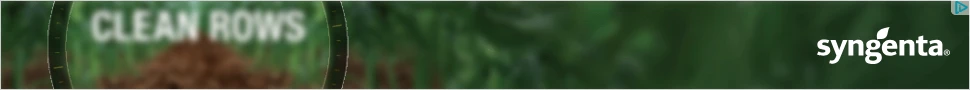Creative Screenshot 3