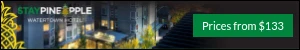 Creative Screenshot 3