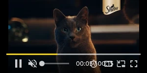 Creative Screenshot 2