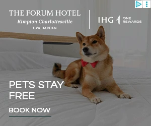 Creative Screenshot 3