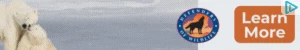 Creative Screenshot 3