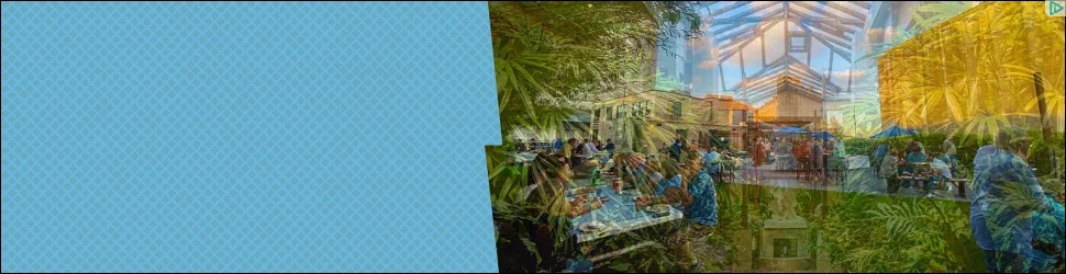 Creative Screenshot 2