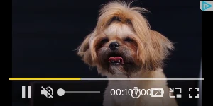 Creative Screenshot 2