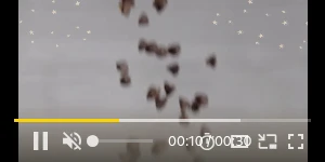 Creative Screenshot 2
