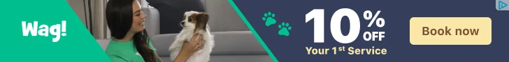 Creative Screenshot 1