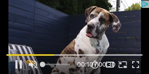 Creative Screenshot 2