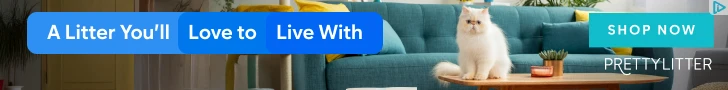 Creative Screenshot 1