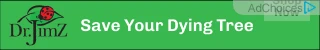 Creative Screenshot 1