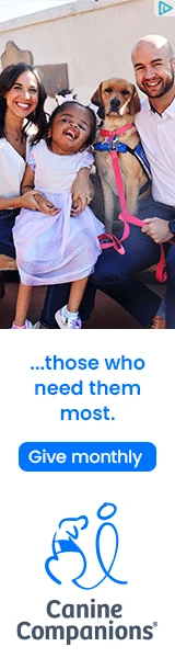 Creative Screenshot 2