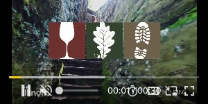 Creative Screenshot 1
