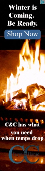 Creative Screenshot 1