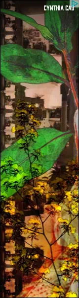 Creative Screenshot 1