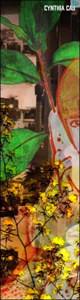 Creative Screenshot 2