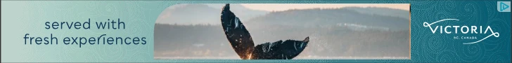 Creative Screenshot 2