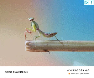 Creative Screenshot 1